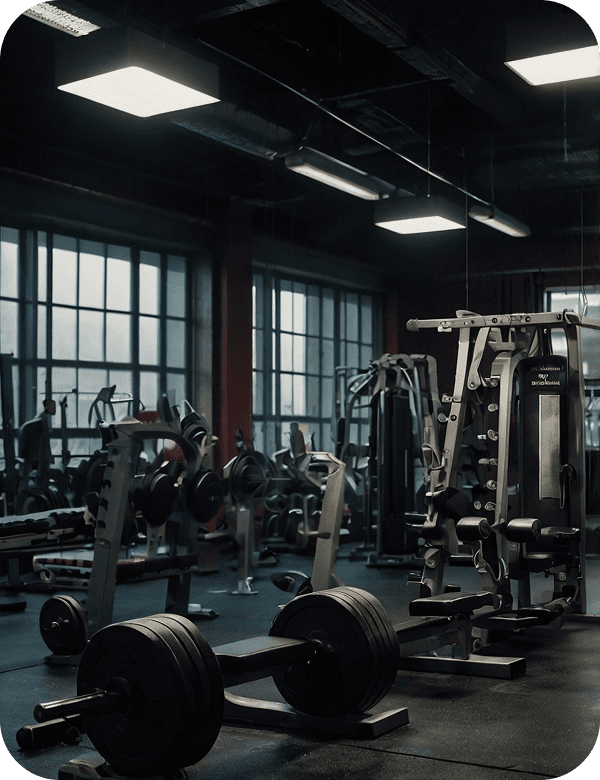 Jebel Heights Gym strength equipment